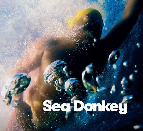 Poster for Sea Donkey film, male swimmer from below